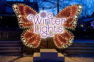 Winter Lights @ The North Carolina Arboretum | Asheville | North Carolina | United States