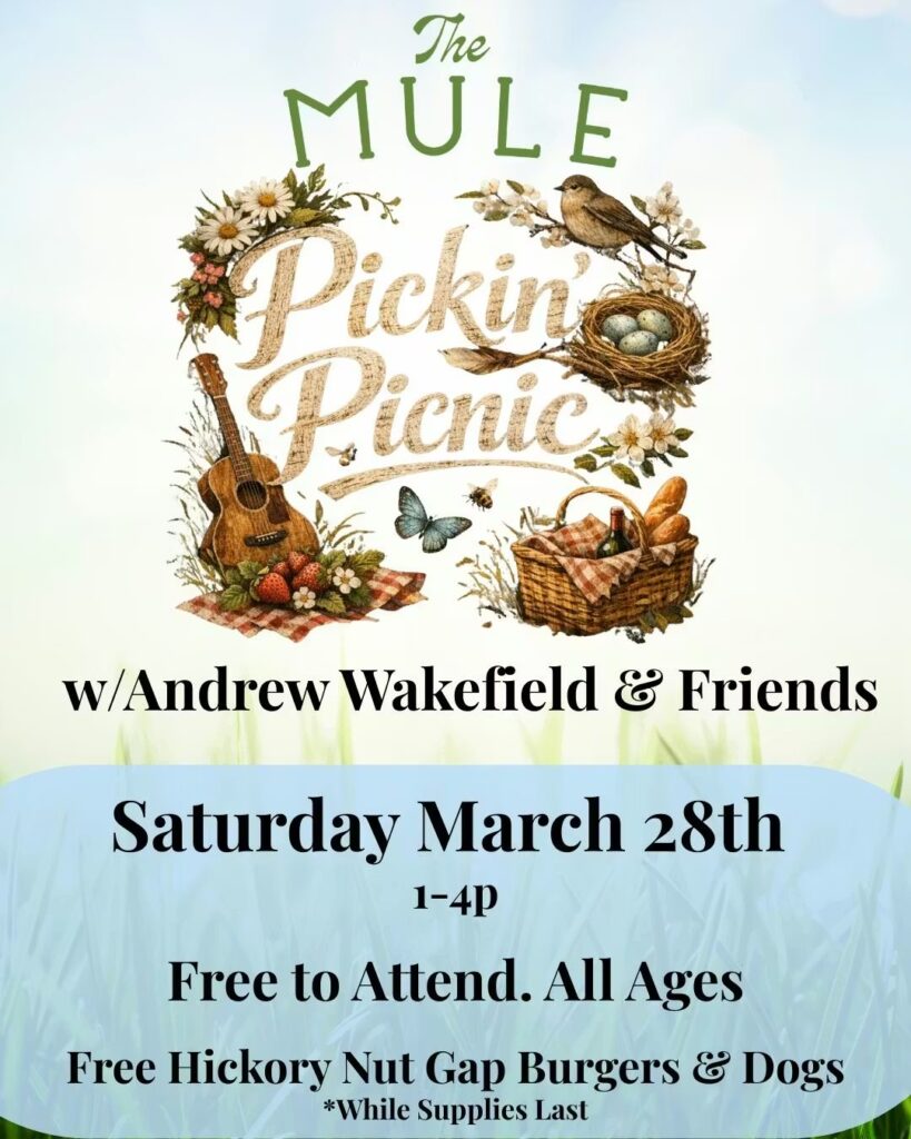 648924825 122280288242019470 8637802534502923328 n