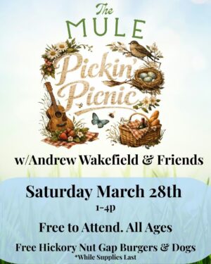 648924825 122280288242019470 8637802534502923328 n