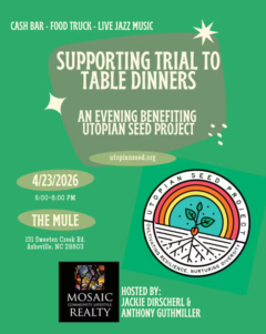 Screenshot 2026 04 22