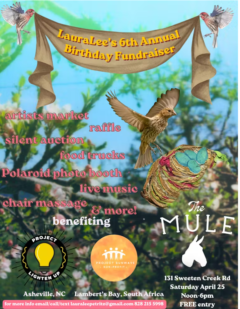 Screenshot 2026 04 22