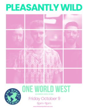 ONE WORLD WEBSITE FLYER