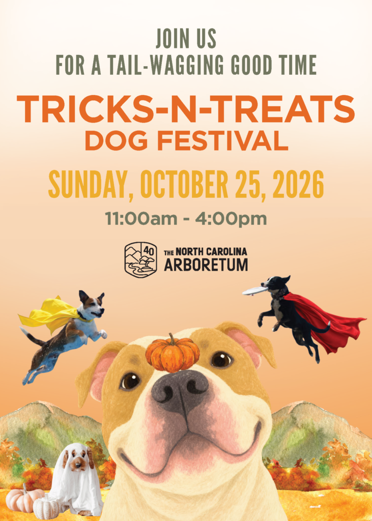 Tricks N Treats Postcard 5x7 08262026 1 Page