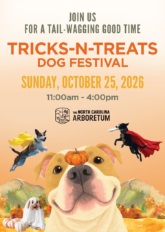 Tricks N Treats Postcard 5x7 08262026 1 Page