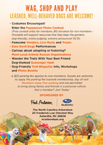Tricks N Treats Postcard 5x7 08262026 1 Page